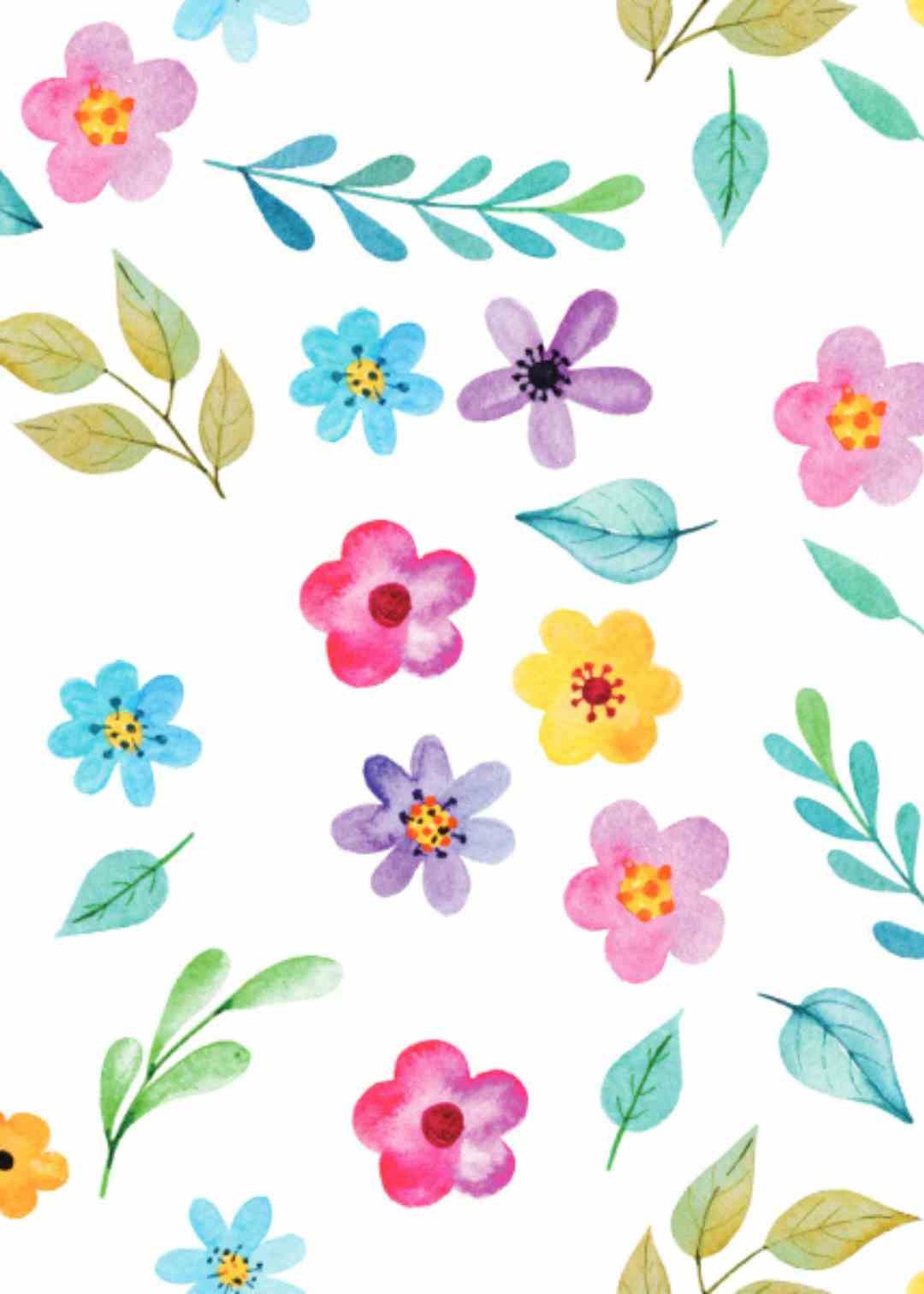 Detalhe da malha Molecotton e estampa Kambai